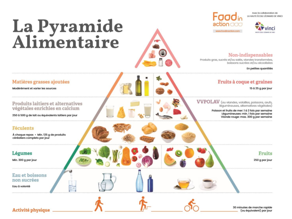 Pyramide alimentaire 2020 : la référence pour une alimentation équilibrée